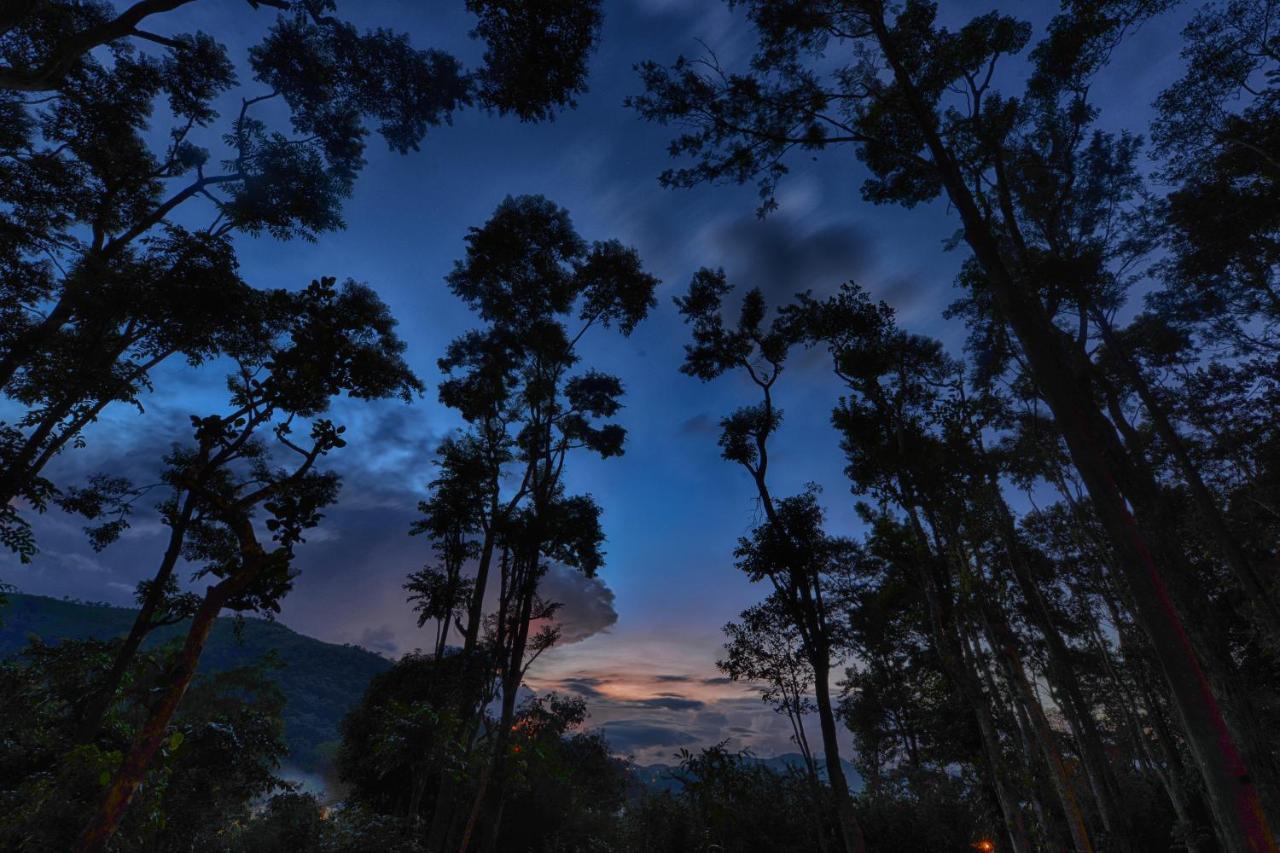 Greenwoods Resort, Thekkady Ngoại thất bức ảnh